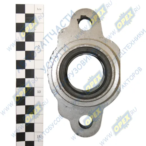 103-3502018-10 Стакан (обойма) кулака разжимного с подшипником МАЗ (фнаруж=72, L=138, h=55, h1=48, h2=29,2отв.,ф15/2отв.,М10х1 с ШС, чугун) КММЗ1