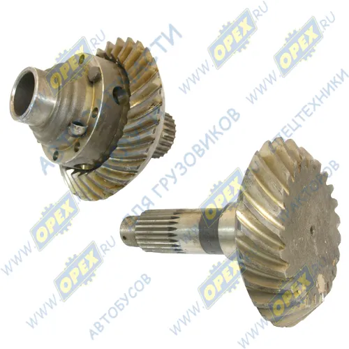 643012-2502020У Шестерни главной передачи МАЗ (29х23 с чашками) МАЗ