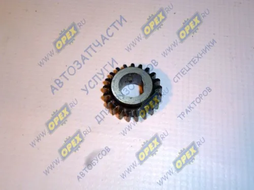 64221-3802055 Шестерня ведомая привод.спидометра z=21 МАЗ