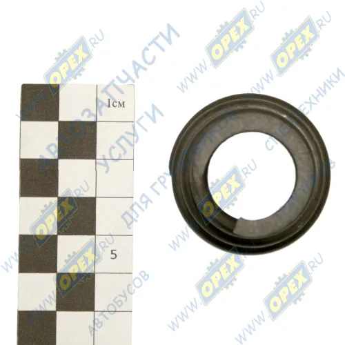 5336-3003069 Пружина пальца рулевого наконечника МАЗ (L=30, ф21х43, dвит=4,5 (4вит.), коническая, С/И) МАЗ1