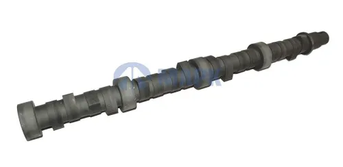 740.21-1006015 Вал распределительный КАМАЗ ЕВРО МАРК