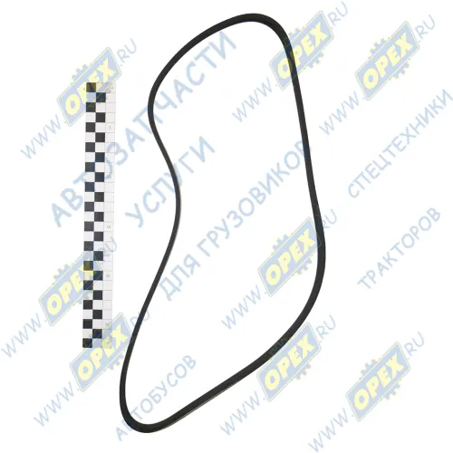 5РК1025 Ремень поликлиновой 5РК1025 ЯМЗ-650,651 привода генератора FORD Escort VII 1,8TD 2/95-2/99,MAZDA 626 V 1,9/2,0 5/97->,TOYOTA Avensis 2,0 9/97-10/00, O МАРК1