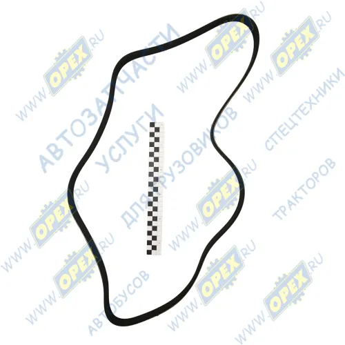 8РК1614 Ремень поликлиновой 8РК1612 генератора Камаз (дв.Cummins) MB Axor 2 (2004-2021); КамАЗ 5490, MB (аналог А0019932596) МАРК1