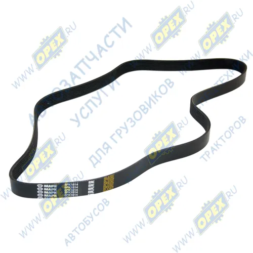 8РК1614 Ремень поликлиновой 8РК1612 генератора Камаз (дв.Cummins) MB Axor 2 (2004-2021); КамАЗ 5490, MB (аналог А0019932596) МАРК