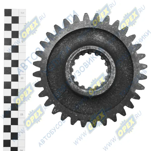 Ф50-1701224 Шестерня 1-ой пер.задн.хода ведомая КПП (наруж.z=32, внутр.z=16) МЗШ1