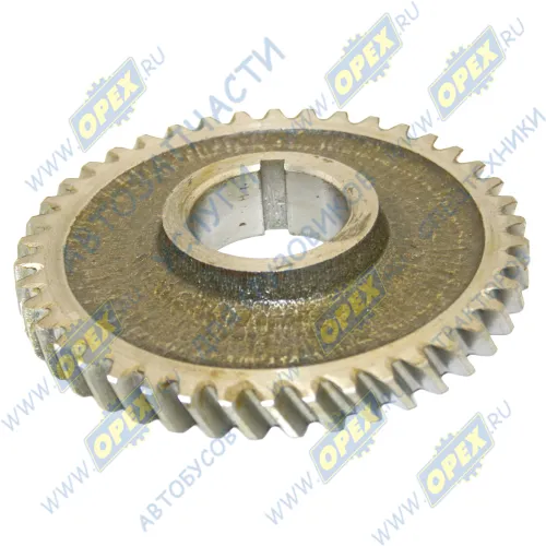 240-1005033-А-01 Шестерня коленвала ведущая z=42 (привода масляного насоса) Д-243, Д-245Е1,Е2, МТЗ-82, ГАЗ, ПАЗ, МАЗ,ЗиЛ ММЗ