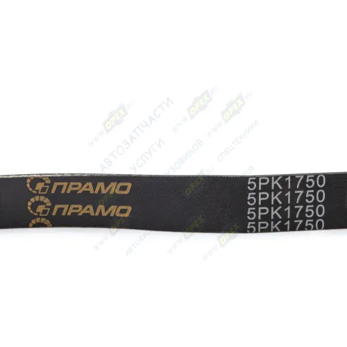 5PK1750 Ремень поликлиновой 5РК1750 Renault Laguna/Megane 1.8/2.0 98> DACIA / MB / RENAULT / ПРАМО1