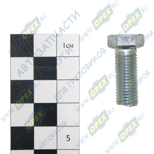 201676 Болт ГОСТ-7798 М10х25х1,25; Р=24 К=14 РААЗ