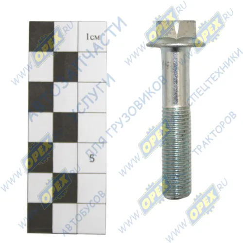 301431-01 Болт DIN6921 М10х50х1,25 Р=30 К=13 фланцевый РААЗ