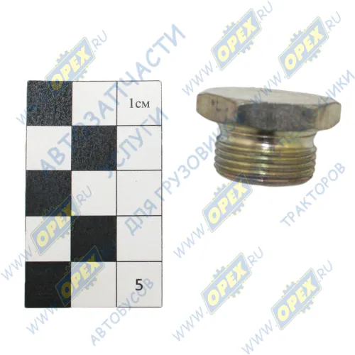 305062 Пробка М22х1,5 под ключ; Р=12 К=27 гост 17756-72 рессивера РААЗ