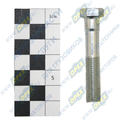 459-3271087 Болт ГОСТ-7798 М10х50х1,25 РААЗ
