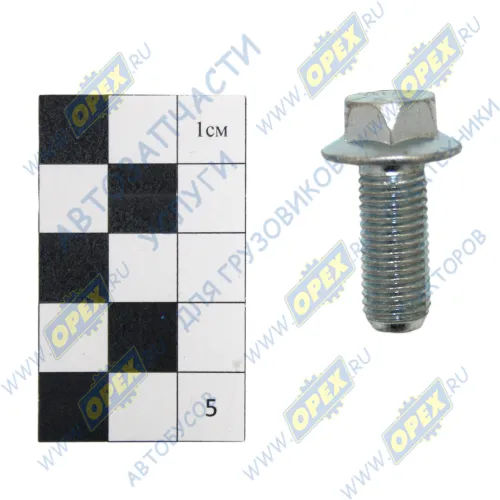 301426-01 Болт ГОСТ-7798 М10х25х1,25; Р=23 К=12/13 (фланцевый) РААЗ