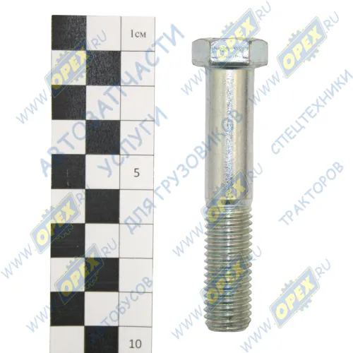 301219П Болт ГОСТ-7798 М14х75х2 Р=34 К=19 РААЗ