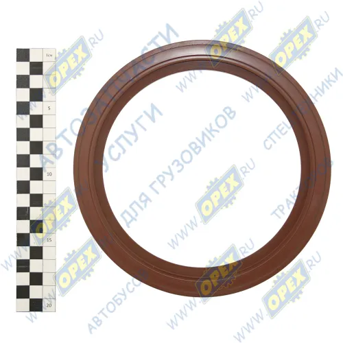 650.1005161 Сальник коленвала задний 160х190х13 МАЗ (Renault) NEOPLAN (1970-2020), RVI LCV (1970-2020), SETRA (1970-2020) Резинотехника1