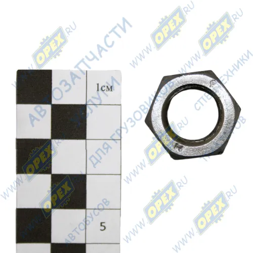 250560-П29 Гайка ГОСТ-5915 М16х2; h=13 К=24 РечМетЗав