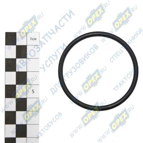 055-061-36 Кольцо (РТИ) круг.сеч. 053-060-36 ГОСТ-9833-73 уплотнительное коллектора водяного 53х3.55 RVI LCV (1970-2020) Рост-С