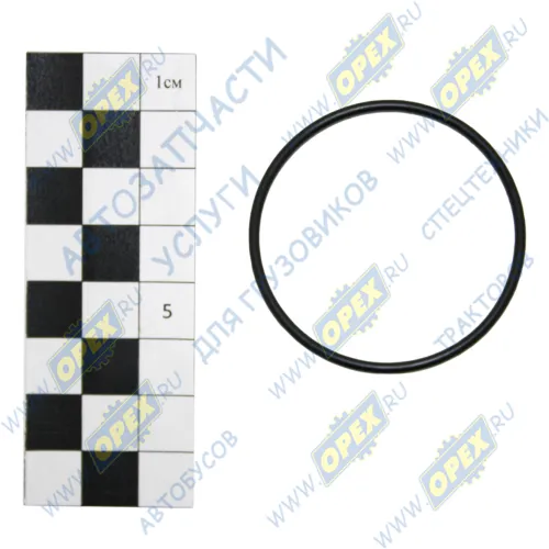 045-048-19 Кольцо (РТИ) круг.сеч. 045-048-19 ГОСТ-9833-73 Рост-С