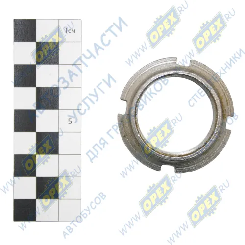 52-2308097 Гайка (круглая) М36х1,5 h=11 обжимная дифференциала ПВМ МТЗ САЗ-РУП1