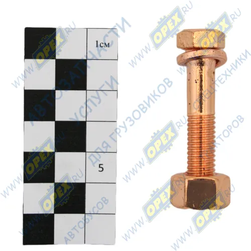 310228-П-СБ Болт ГОСТ-7798 М10х48х1,5 Р=28 К=14; в сборе СПЕЦМАШ