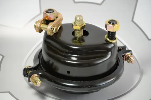 100-3519110-10-СПЕЦМАШ Камера тормозная тип 20 (шток 118 мм.) между осями 120 мм.,М16 СПЕЦМАШ