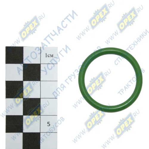 7406.1013288-02 Кольцо (РТИ) круг.сеч. 032-038-36 ГОСТ-9833-73 стакана форсунки МАЗ,механизма перекл. МАЗ-551605 (с КПП ЯМЗ),маслян.радиатора Камаз; силикон СТРОЙМАШ1