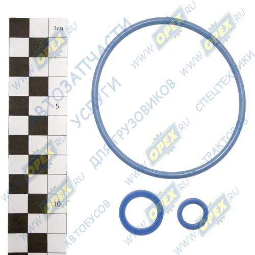 СТР 53205-3509 100 РК РМК 1-цилиндрового компрессора КамАЗ (53205-3509015); (фторсиликон,синий) 3 наим. СТРОЙМАШ1