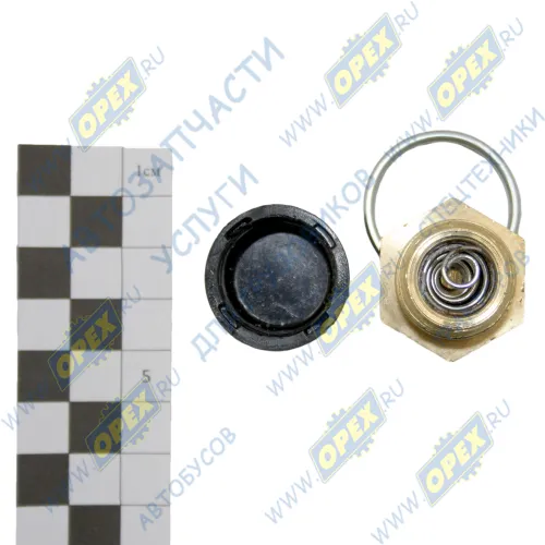 105.069.03.000 Клапан слива конденсата Рнаруж=М22х1,5 MAN Bus (1970-2020) MAN Bus (1970-2020), MB Actros MP4 (2011-2020), SAUER ACHSEN (1970-2020), VOLVO B (1970-202; 22х1,5, (с кольцом), К=27 ТАИМ1