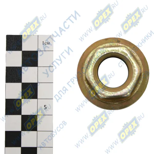 4370-3104038 Гайка С/И М20х1,5 h=28 К=30 D=45; МАЗ Зубренок-4370,ЗИЛ-4331(4331-3104054) ТАИМ