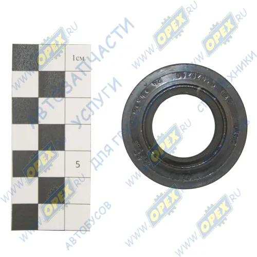 236-1029244-А Сальник (манжета) 24х46х10 вала привода ТНВД ЯМЗ ГОСТ8752-79; 2.2х24х46х2 ЧайковРТИ1