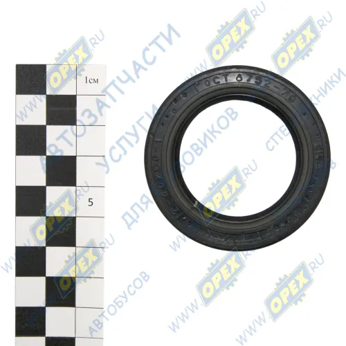 1.2-40х60 Сальник (манжета) 40х60х10 стакана разжимного кулака ЧайковРТИ1