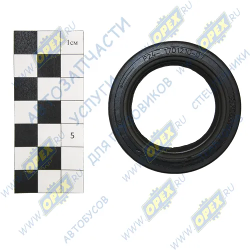 24-1701210 Сальник (манжета) 1.2х38х56х10 левое вращение вторичного вала КПП ВОЛГА,ГАЗель Бизнес,Некст удлинителя; 1.2-38х56-2 (10х0х0) ЧайковРТИ1