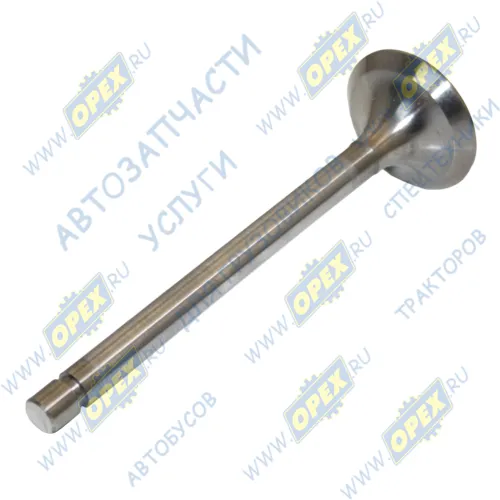 240-1007014 Клапан впускной дв.ММЗ ф48 L=160 старого образца угол 45гр. ЧАМЗ