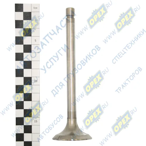 240-1007014 Клапан впускной дв.ММЗ ф48 L=160 старого образца угол 45гр. ЧАМЗ1