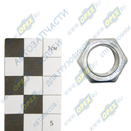 292873-П29 Гайка ГОСТ-15523 М16х1,5; h=19 К=24 стремянки рессоры ЭТНА1