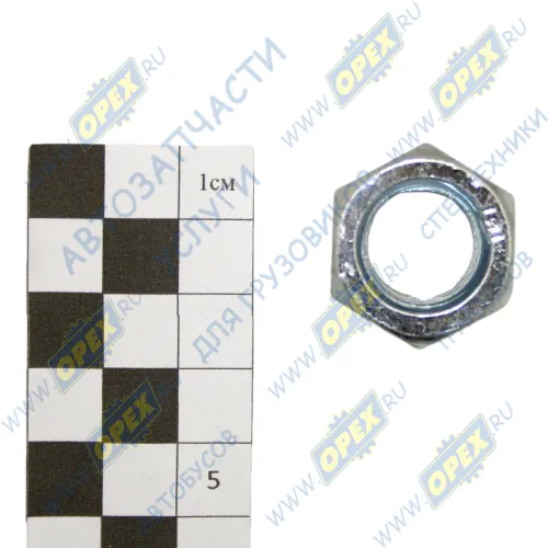 250560-П29 Гайка ГОСТ-5915 М16х2; h=15 К=24 кулака поворотного переднего моста КАМАЗ-6522 ЭТНА