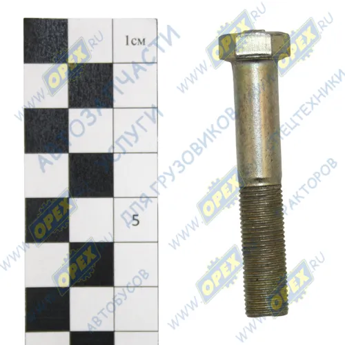 291501 Болт ГОСТ-7798 М10х55х1 Р=29 К=14 кронш.креп.балки передней подвески ГАЗ 3110 (62х0х0) ЭТНА
