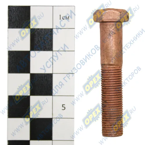 200345-П5 Болт ГОСТ-7798 М10х50х1; Р=35 К=14 ЭТНА