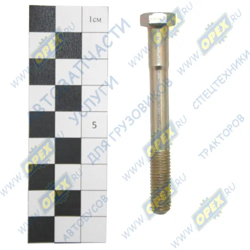 200273 Болт ГОСТ-7795 М8х70х1,25; Р=22 К=12/13 ЭТНА