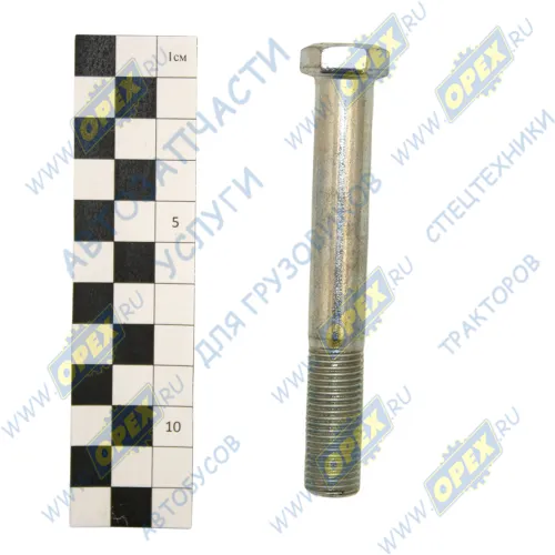 201628-П29 Болт ГОСТ-7798-70 М14х100х1,5 стяжной рессоры; Р=42 К=22 ЭТНА