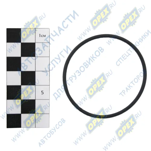 236-1111196 Кольцо (РТИ) круг.сеч. 054-058-25 ГОСТ-9833-73 ЯЗДА