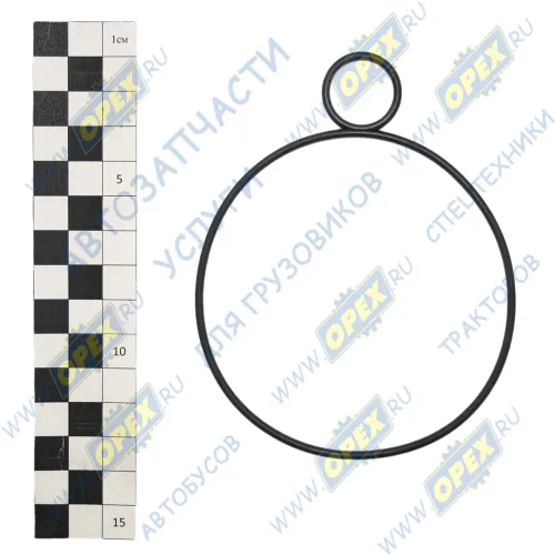 336.1704019 Кольцо (рти) 090-095-25+019-024-25 С/И ЯМЗ