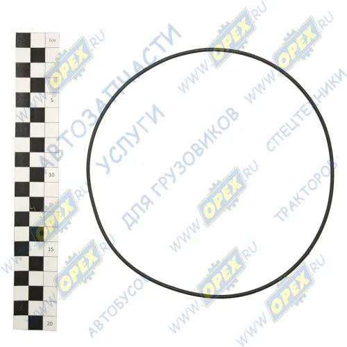 336.1701534 Кольцо (РТИ) круг.сеч. 160-165-25 ГОСТ-9833-73 ЯМЗ