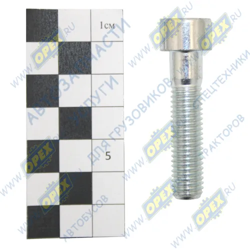 8.9207 Винт М10х45 (кл.пр 8.8) механизма натяжения ремня дв.ЯМЗ-5344 ГАЗон NEXT ЯМЗ1