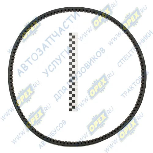 19х12.5х1450 Ремень клиновой 19х12.5х1450 /СМД18.А-01.41/; зубчатый ЯРТ1