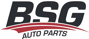 BSG