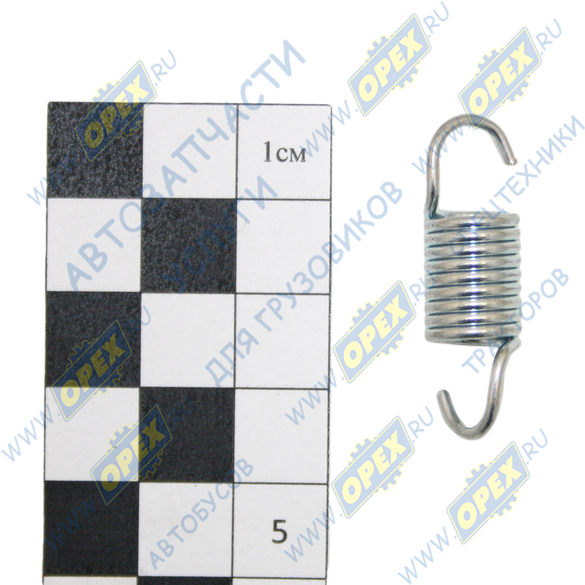 gazel7.png gazel7.png