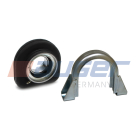 79252 Подшипник подвесной ф60мм S=80 h=165 (c обоймой) карданного вала IVECO Zeta/Eurocargo, RVI Midliner/Midlum, Volvo FL6 VOLVO L160 (1986-1992) Auger