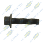 .BBL1128 Болт DIN6921 М6х25х1 (фланцевый); Р=23 К=8 G-PART