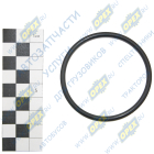 060-066-36 Кольцо (РТИ) круг.сеч. 060-066-36 ГОСТ-9833-73 NQK