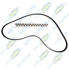 6РК-1370 Ремень поликлиновой 6РК1370 привода вентилятора ЯМЗ-534,536, CITROEN // DODGE // FIAT // MITSUBISHI // OPEL // PEUGEOT; ГАЗ дв.ЗМЗ-406 с ГУР Rubena